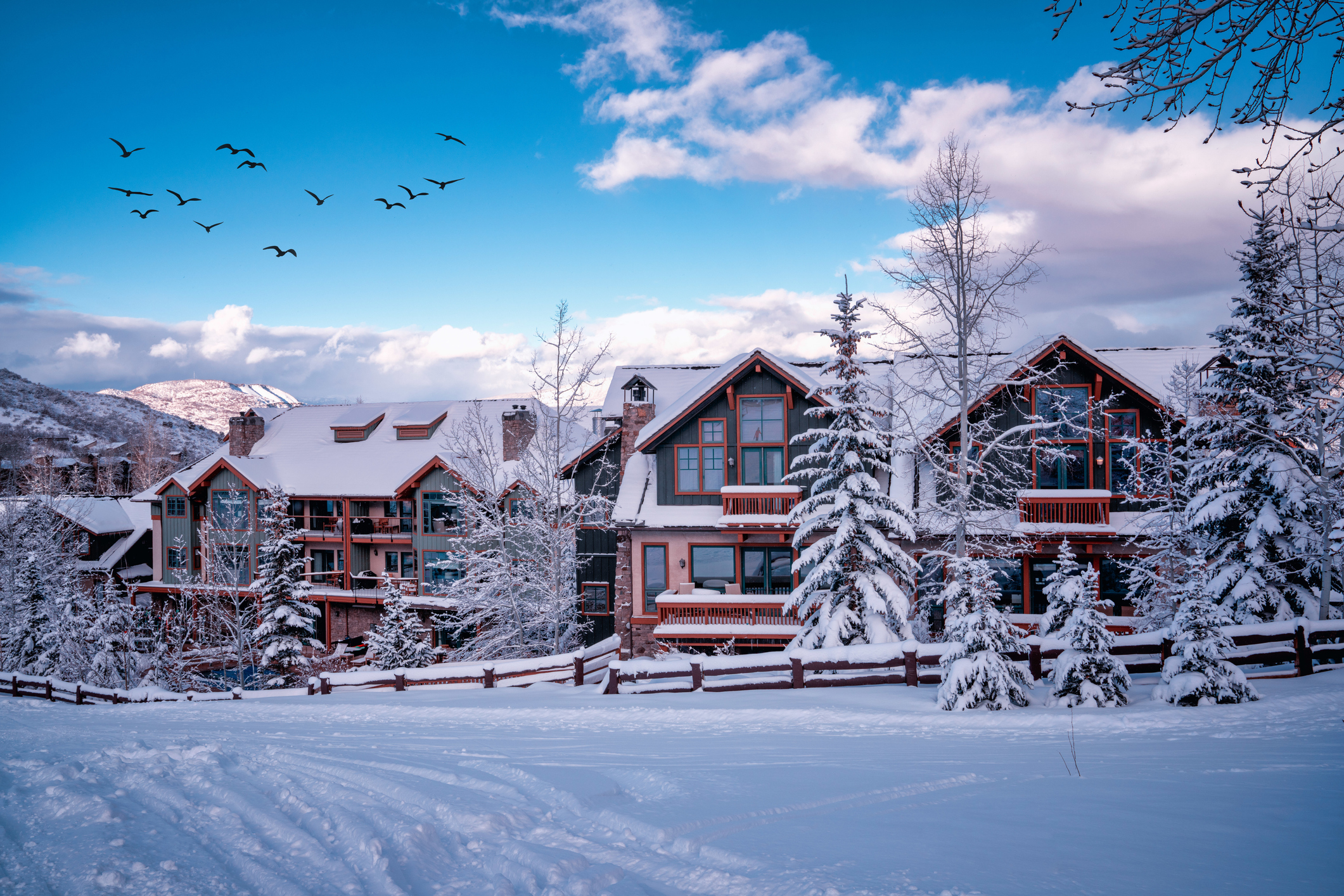 Luxury lodge surrounded by peaceful wilderness for quietcation and digital detox.